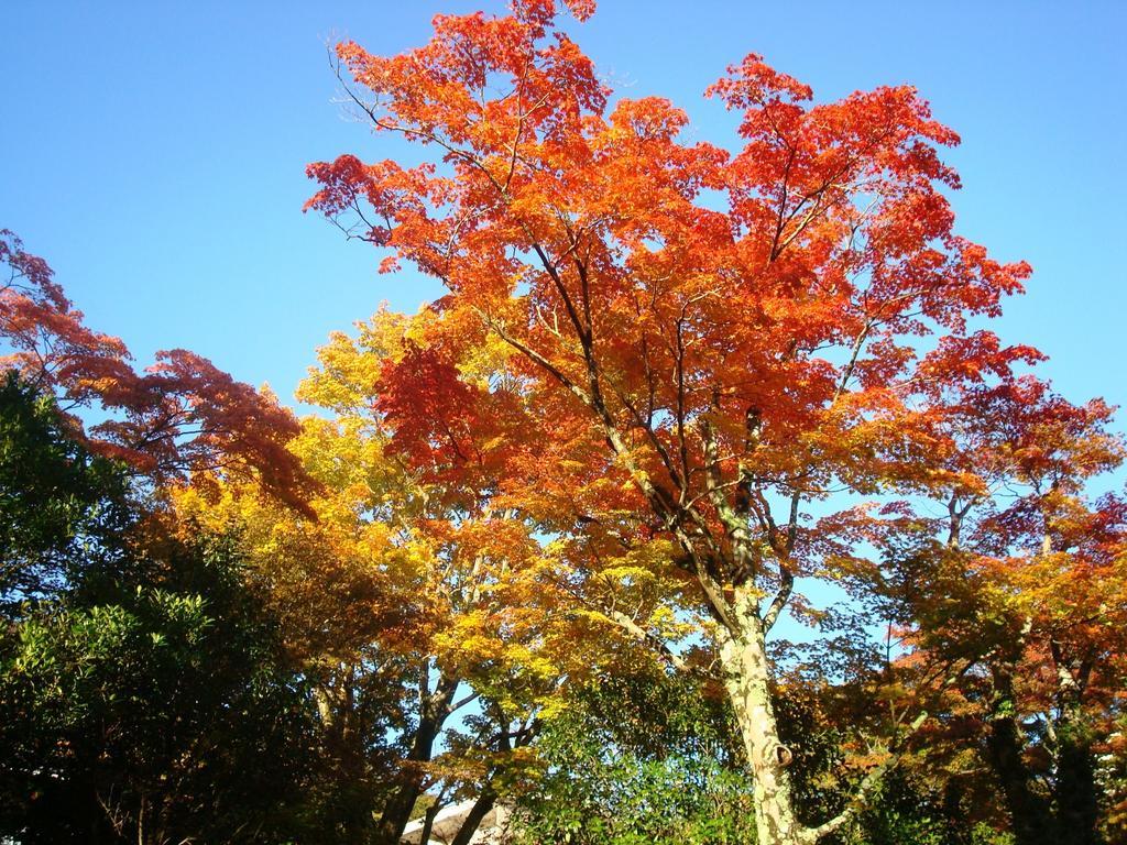 Hotel Gora Saryo Hakone Exterior foto